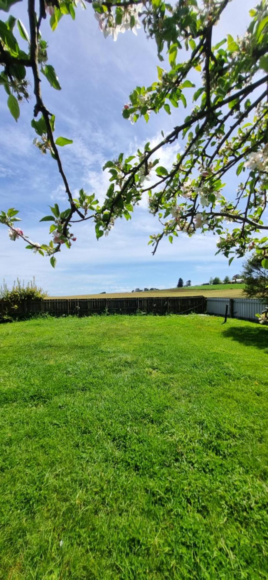 Belle Cottage سكوتسديل المظهر الخارجي الصورة